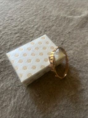 Rose Gold Tone Women’s Hinged Bangle Bracelet
